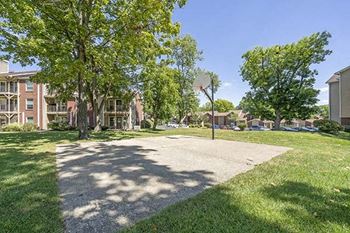 Basketball court